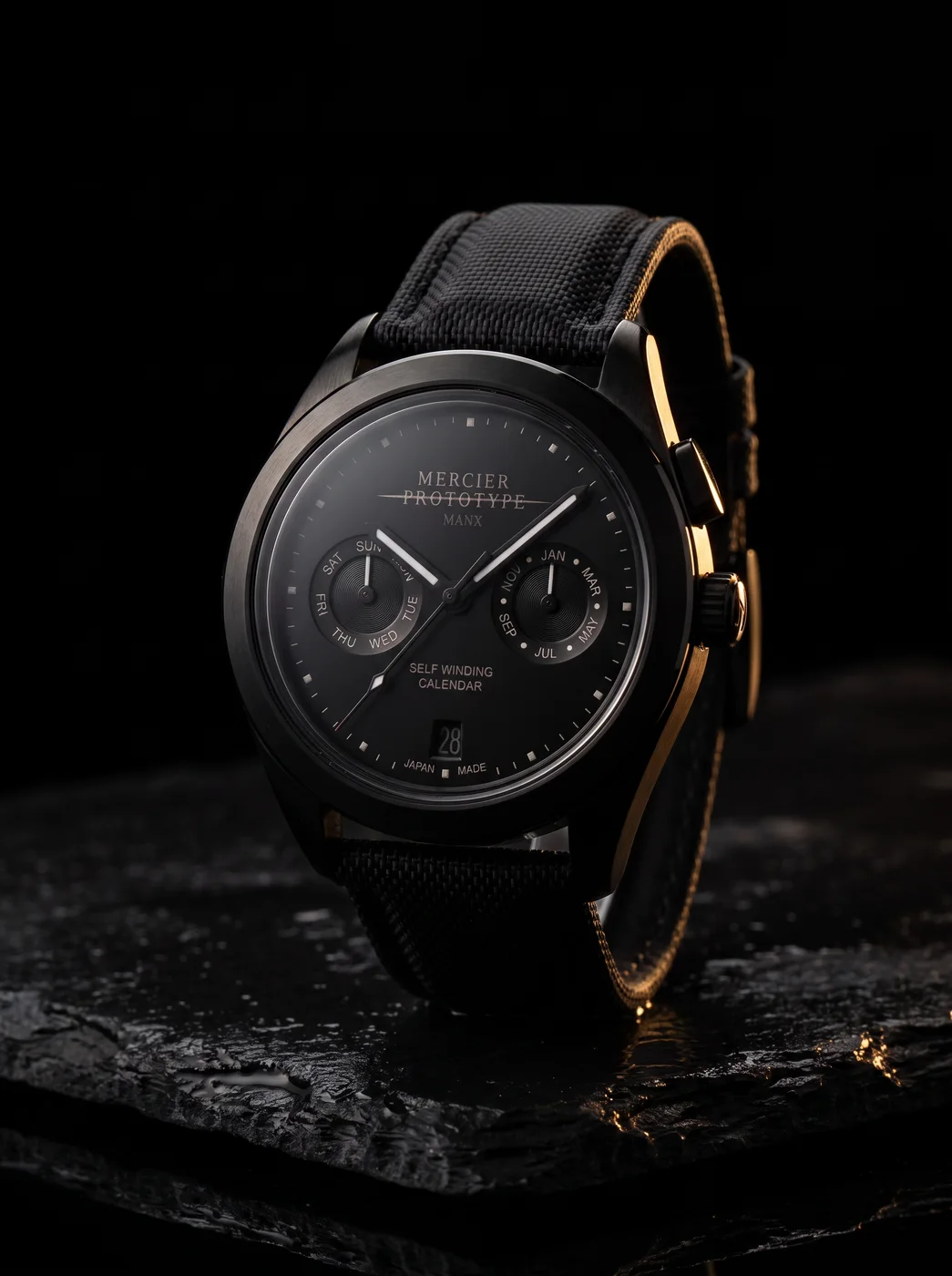 Manx Noir rim-lit on black stone
